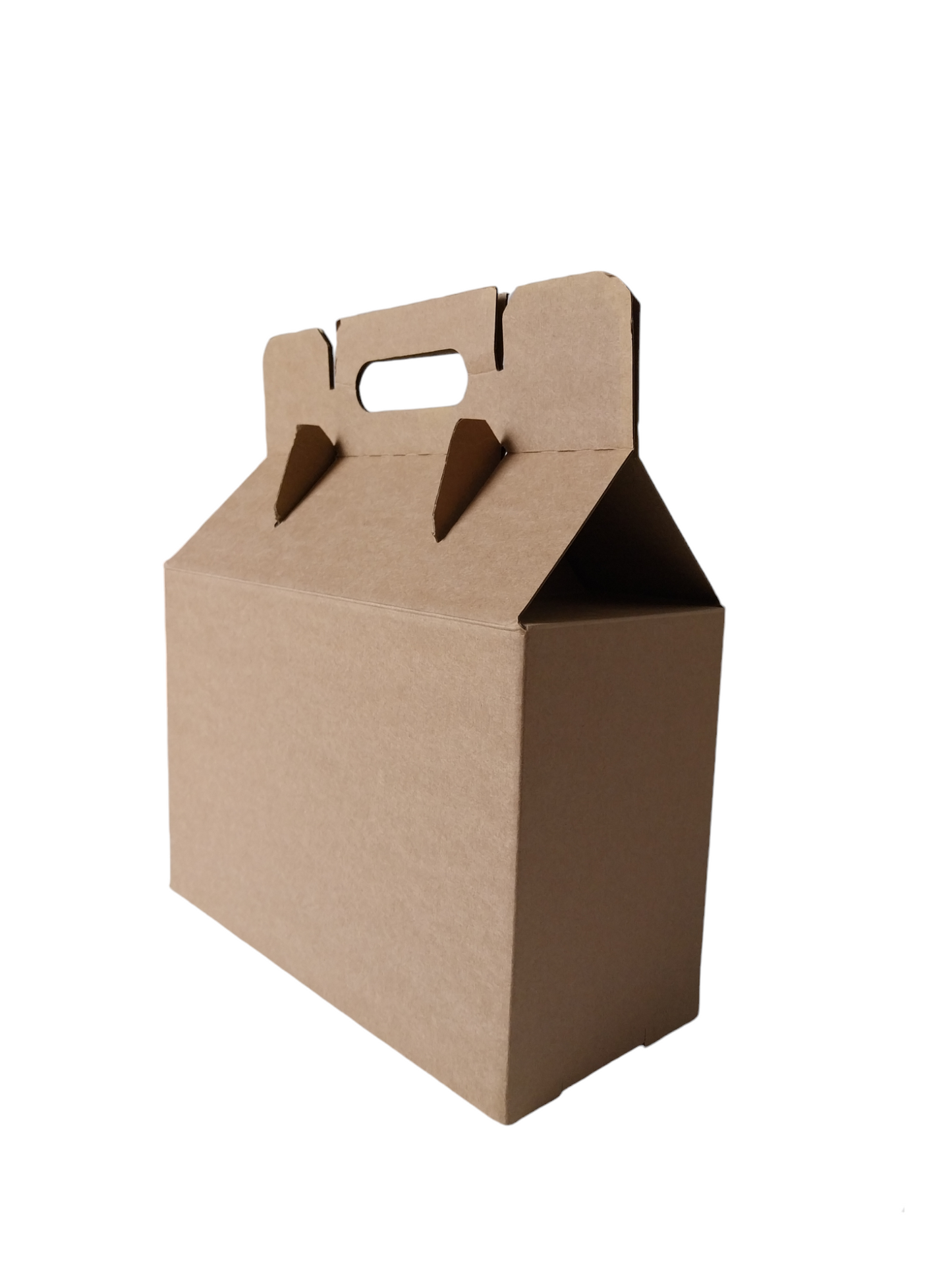 Verzenddoos take away draagbox 25 stuks 28.5cm x 12.8cm x 19cm, 100% biologisch afbreekbaar